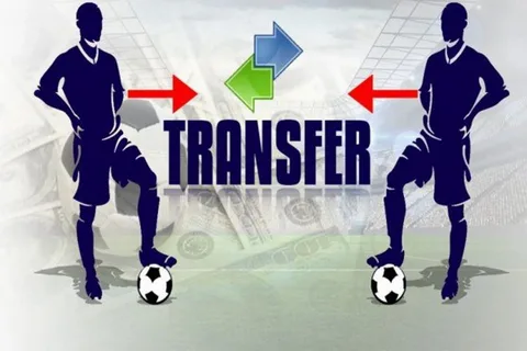 Player Transfers and Financial Stability in Sports Clubs